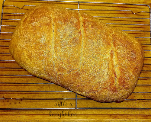 Teljes kiőrlésű kenyér 🍞